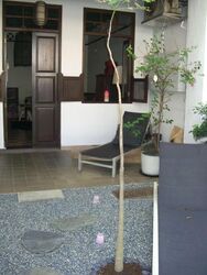 Makepeace Road (D9), Detached #466913601